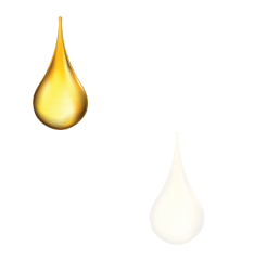 shape